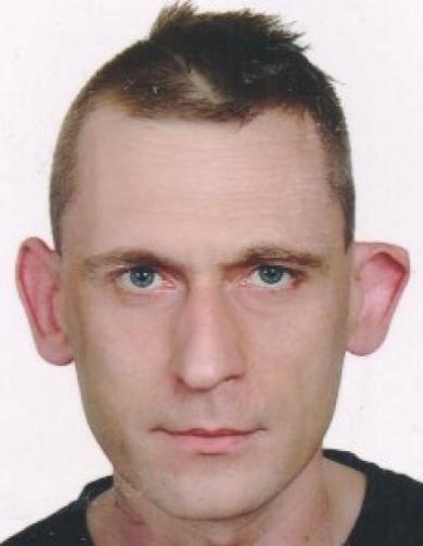 KOTARBA DOMINIK