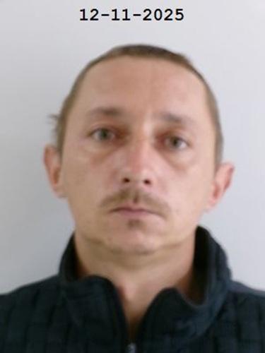 WOŁOSZYN KAMIL