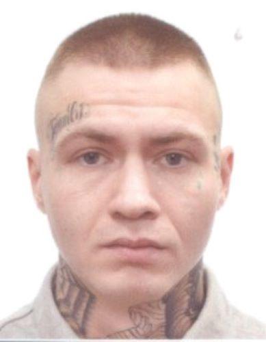 WIŚNIOWSKI MIŁOSZ