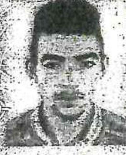 BINGOL SERHAT