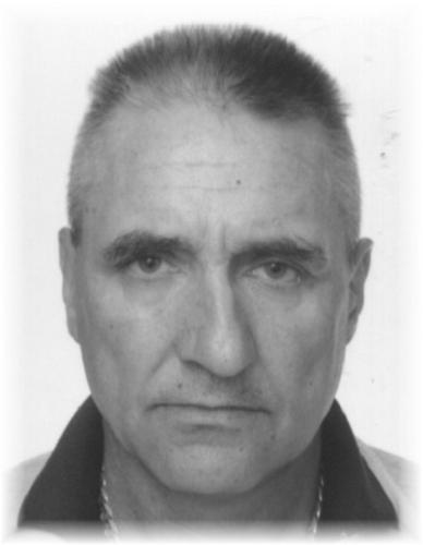 HEIN DARIUSZ
