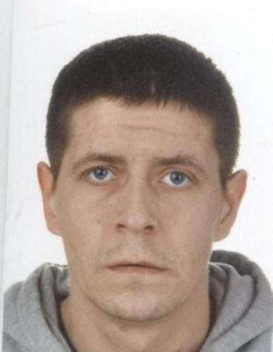 PANEK DANIEL
