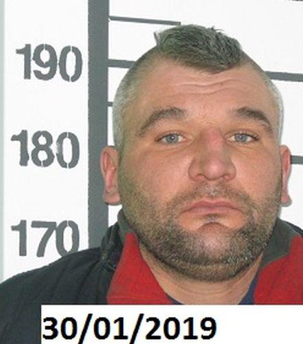 BRZOZOWSKI KRZYSZTOF