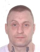 GISZTEROWICZ DAMIAN  KRZYSZTOF GISZTER