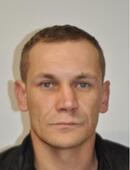 KRÓL DAWID  MAREK ŚWINKA