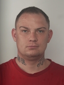 CYBULSKI DAWID   CEBULA