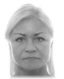 NOWAKOWSKA MONIKA MISERA KRYSTYNA 