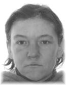 WIECZOREK WIOLETTA  DOROTA 
