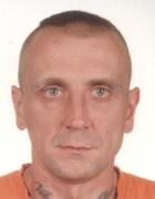 WOLNY PATRYK