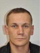 KRÓL DAWID