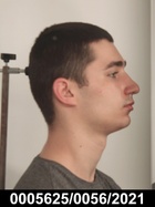 PLIS WIKTOR